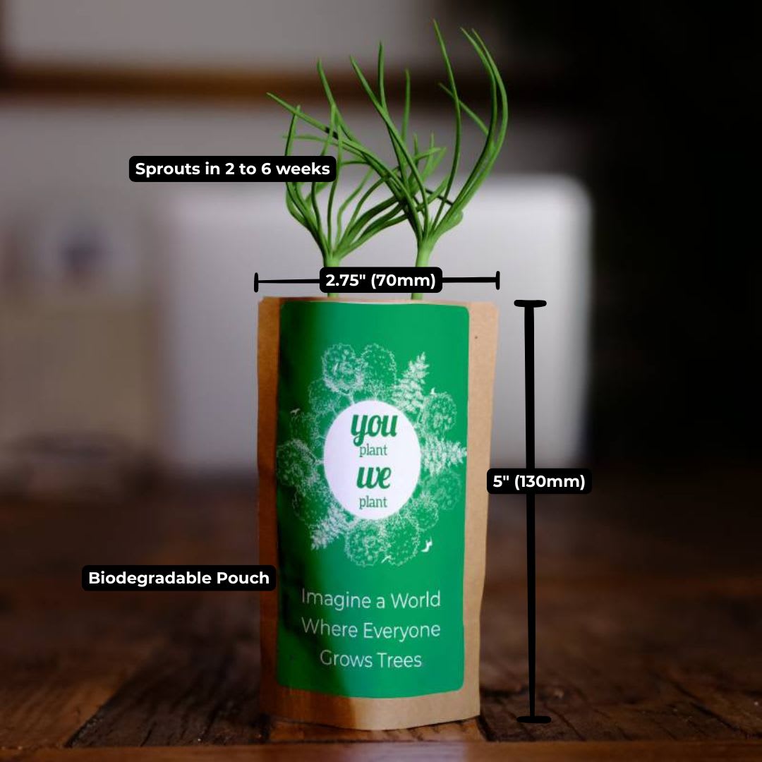 Tree Pouch Custom Branding