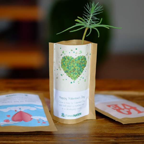 Tree Pouch Custom Branding